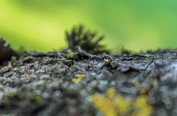 Quelle technique de maquillage pour camoufler efficacement les cicatrices d'acné?